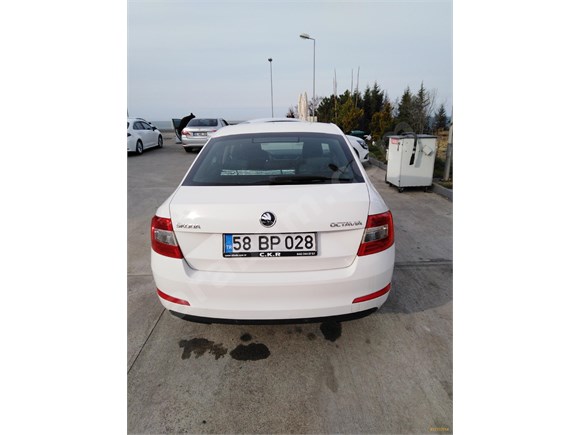 Sahibinden Skoda Octavia 1.6 TDI Optimal 2014 Model