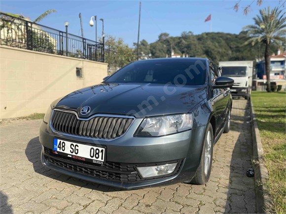 Sahibinden Skoda Octavia 1.6 TDI Optimal 2014 Model