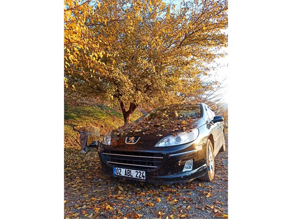 sahibinden peugeot 407 1 6 hdi executive 2006 model kutahya 213 750 km siyah 18598194 arabam com