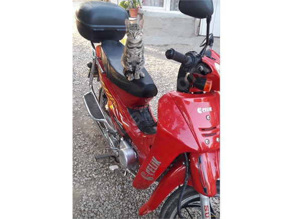 sahibinden celik motor cup 110 2018 model bursa 11 000 km kirmizi 18941694 arabam com sahibinden celik motor cup 110 2018 model bursa 11 000 km kirmizi 18941694 arabam com