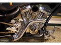 NİĞDELİLER 2016 TT Custom Chopper New Age / 6189