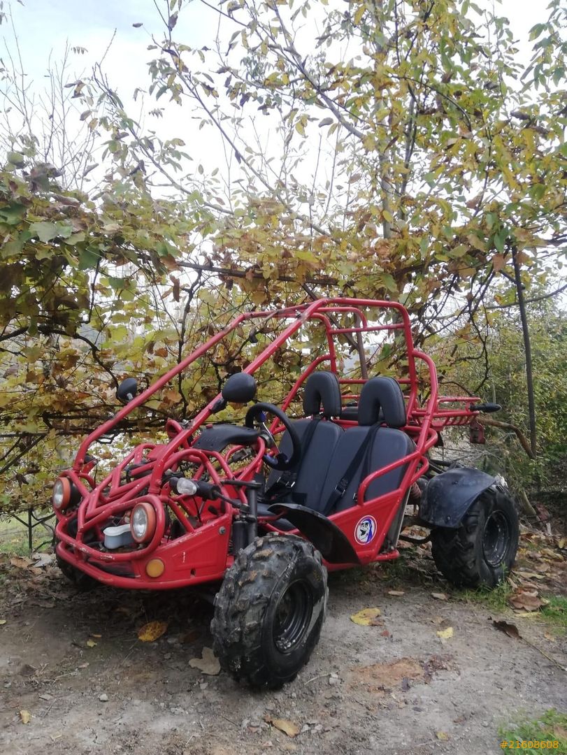 Sahibinden Kanuni UTV Buffalo 2006 Model Yalova 3.000 km 21608608