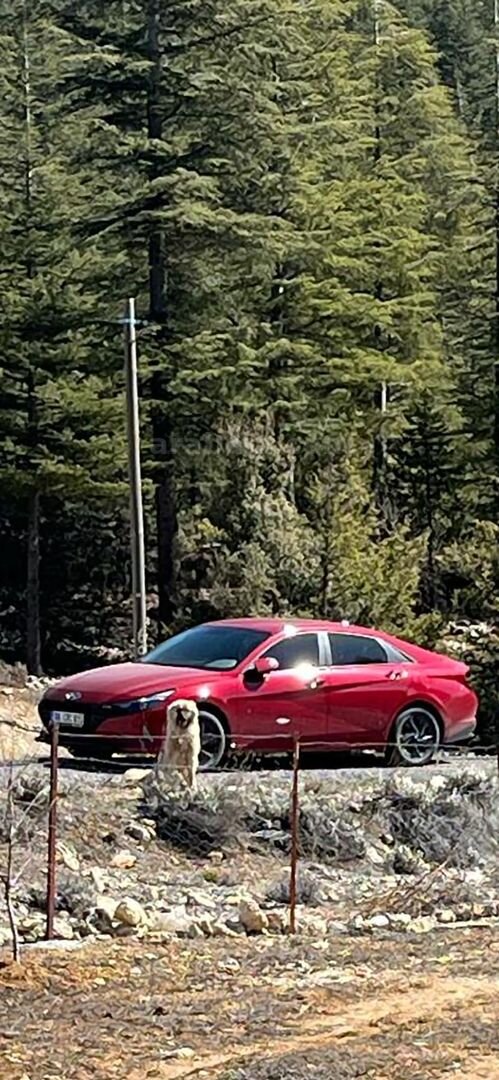 Sahibinden Hyundai Elantra 1.6 MPI Smart 2021 Model Mersin 70.701 km Kırmızı 6