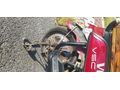 Sahibinden Elektrikli Araçlar Scooter Volta