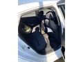 BAKIMLI UYGUN HONDA CİVİC