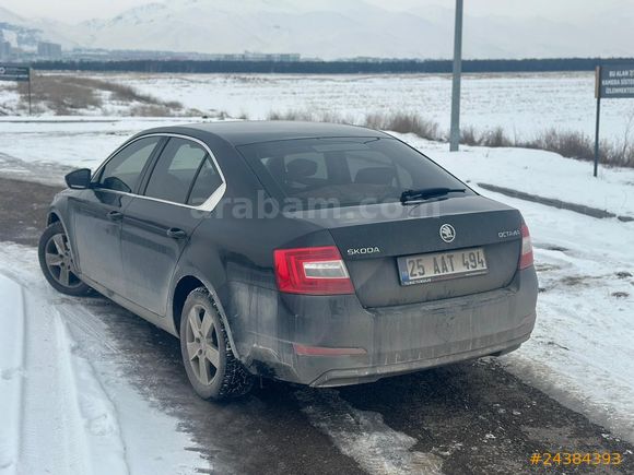 Sahibinden Skoda Octavia 1.6 TDI Optimal 2015 Model