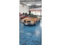 Sahibinden Oldsmobille Delta 88 detay için arayınız