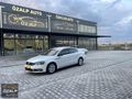 ÖZALP AUTO'dan 2013-14 Çıkış Passat Tekel İçi Bej Ekranlı