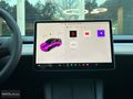 NIKOLA360 / MODEL Y PERFORMANCE/SİYAH/KK. TAKSİT