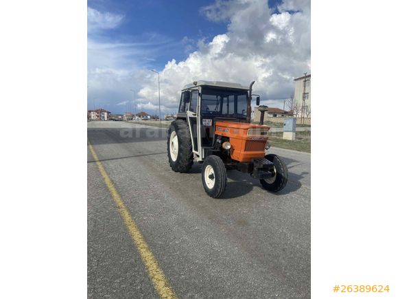 Sarı çiçek 640
