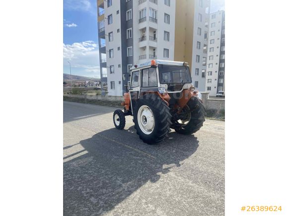 Sarı çiçek 640
