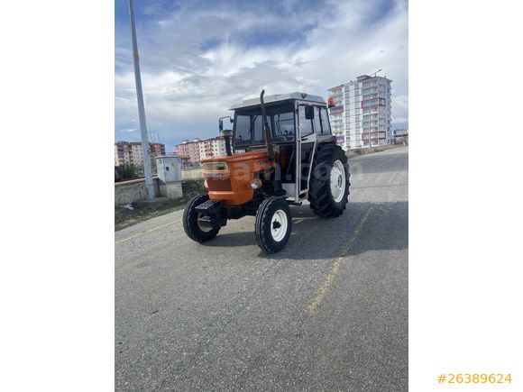 Sarı çiçek 640
