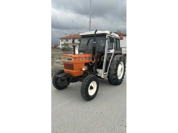 Sarı çiçek 640
