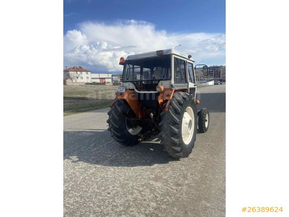 Sarı çiçek 640
