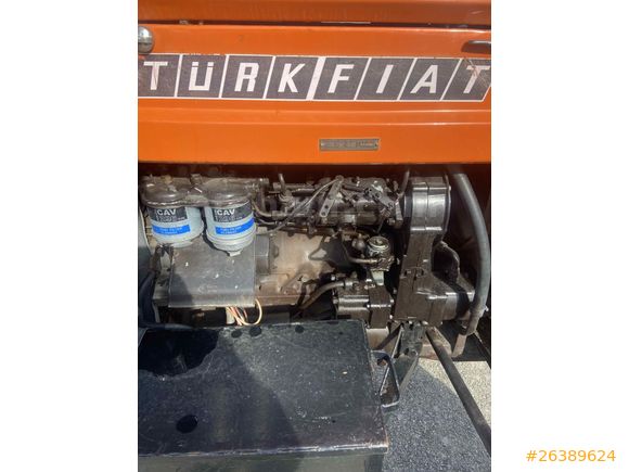 Sarı çiçek 640

