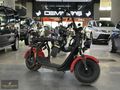 DEMİRBAŞ - WAWASAKY ELEKTRİKLİ MOTOSİKLET ÇİFT KİŞİLİK 2000W