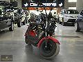 DEMİRBAŞ - WAWASAKY ELEKTRİKLİ MOTOSİKLET ÇİFT KİŞİLİK 2000W