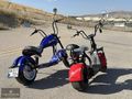 DEMİRBAŞ - WAWASAKY CHOPPER ELEKTRİKLİ MOTOSİKLET 2000W