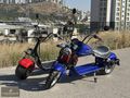 DEMİRBAŞ - WAWASAKY CHOPPER ELEKTRİKLİ MOTOSİKLET 2000W