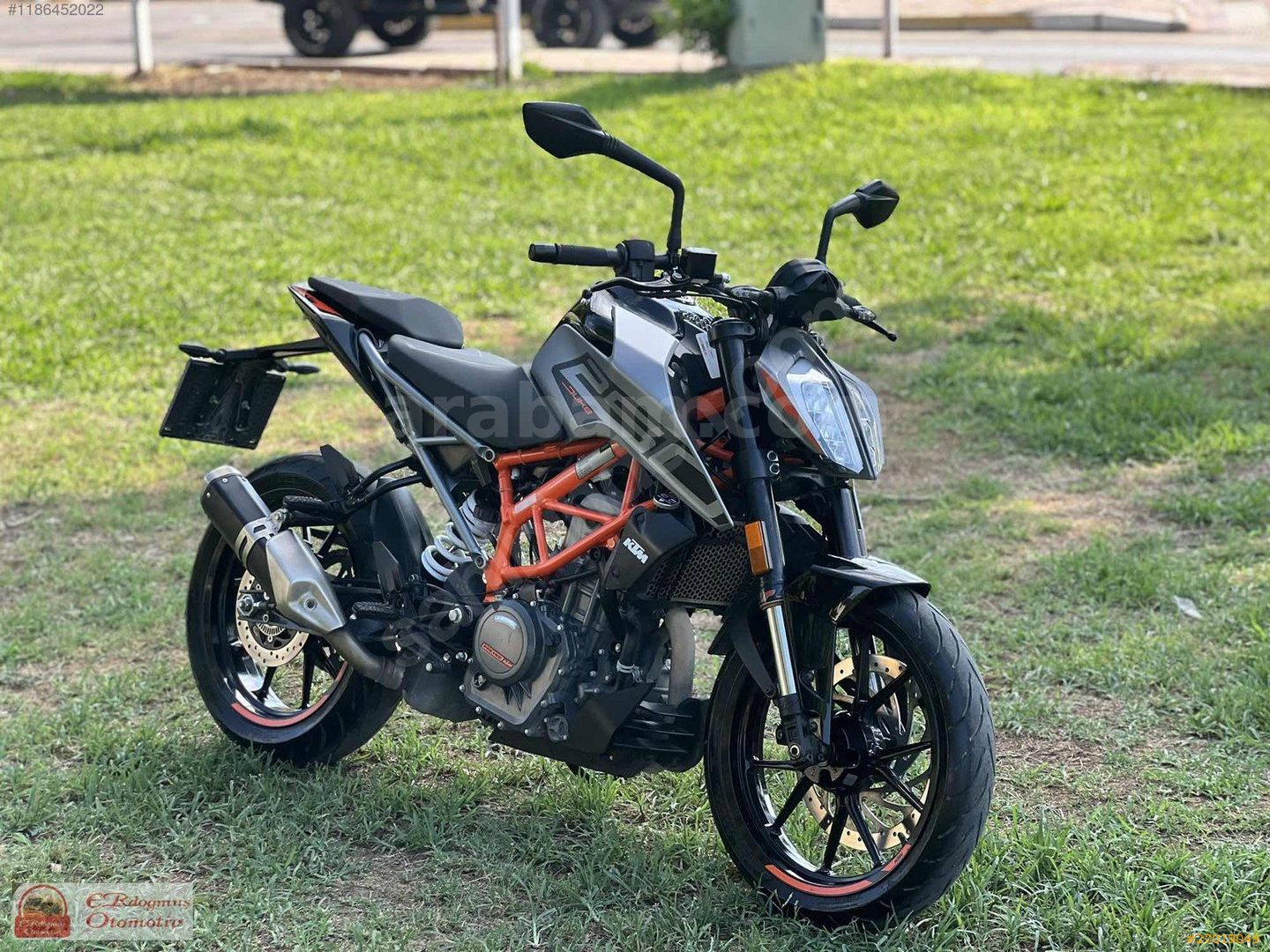 Duke 250 price outlet