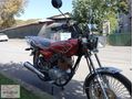 SFM RAZZİ 50-VADE FARKSIZ 9 TAKSİT İMKANI HER YERE KARGO