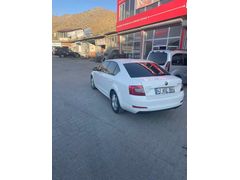 Sahibinden Skoda Octavia 1.6 TDI Optimal 2015 Model 