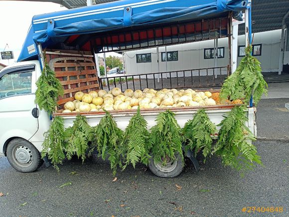 Sahibinden Hyundai H 100