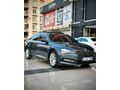Galeriden Skoda SuperB 1.6 TDI Elite 2019 Model Şırnak