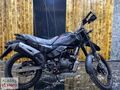 ALABAŞ MOTOR HERO XPULSE 200CCPRO ÖZEL RENK FARKLI RENK MEVCUT