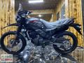 ALABAŞ MOTOR HERO XPULSE 200CCPRO ÖZEL RENK FARKLI RENK MEVCUT