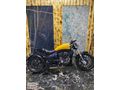 ALABAS MOTOR REGAL RAPTOR PİLDER 125 CC HEMEN TESLİM SARI