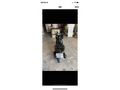 Sahibinden Revolt RM5-X 