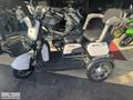 HEMEN TESLİM YUKİ PONY X 1000W R VİTESLİ