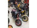 AVŞAR MOTOR'S YUKİ DONKEY