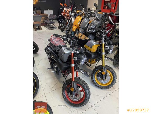 AVŞAR MOTOR'S YUKİ DONKEY