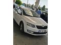 Sahibinden Skoda Octavia 1.6 TDI Optimal 2016 Model
