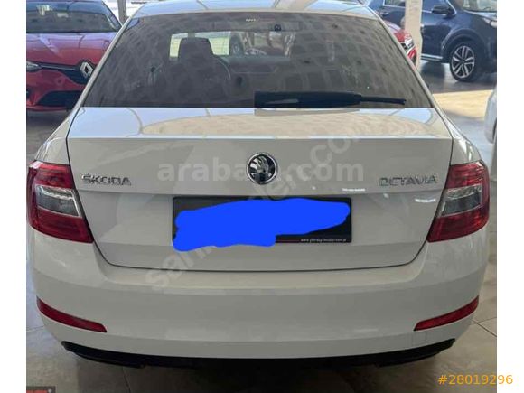 Sahibinden Skoda Octavia 1.6 TDI Optimal 2016 Model
