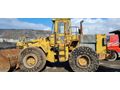 Galeriden Caterpillar Hatay