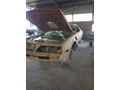 Galeriden Pontiac Trans Am Hatay