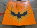 Galeriden Pontiac Trans Am Hatay