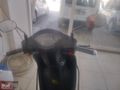 GÜLKENTTEN TEMİZ MOTOR