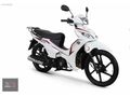 GÜRSOY'dan KUBA EGE 50 2026 MODEL
