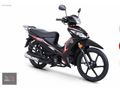GÜRSOY'dan KUBA EGE 50 2026 MODEL