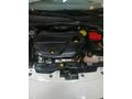 2020 MODEL OTOMATİK EGEA