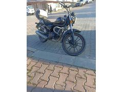 Sahibinden Falcon Crown 150