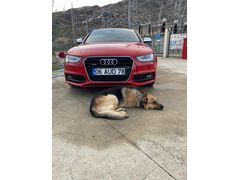 Sahibinden Audi A4 Sedan 2.0 TDI Quattro 2013 Model 