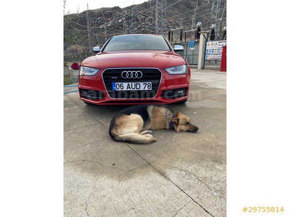 Sahibinden Audi A4 Sedan 2.0 TDI Quattro 2013 Model 