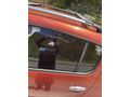 Sahibinden Dacia Sandero 1.5 dCi Stepway 2011 Model