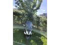 Sahibinden SYM Joymax 250i