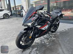 GALERİ GÖKHAN DAN RKS R250